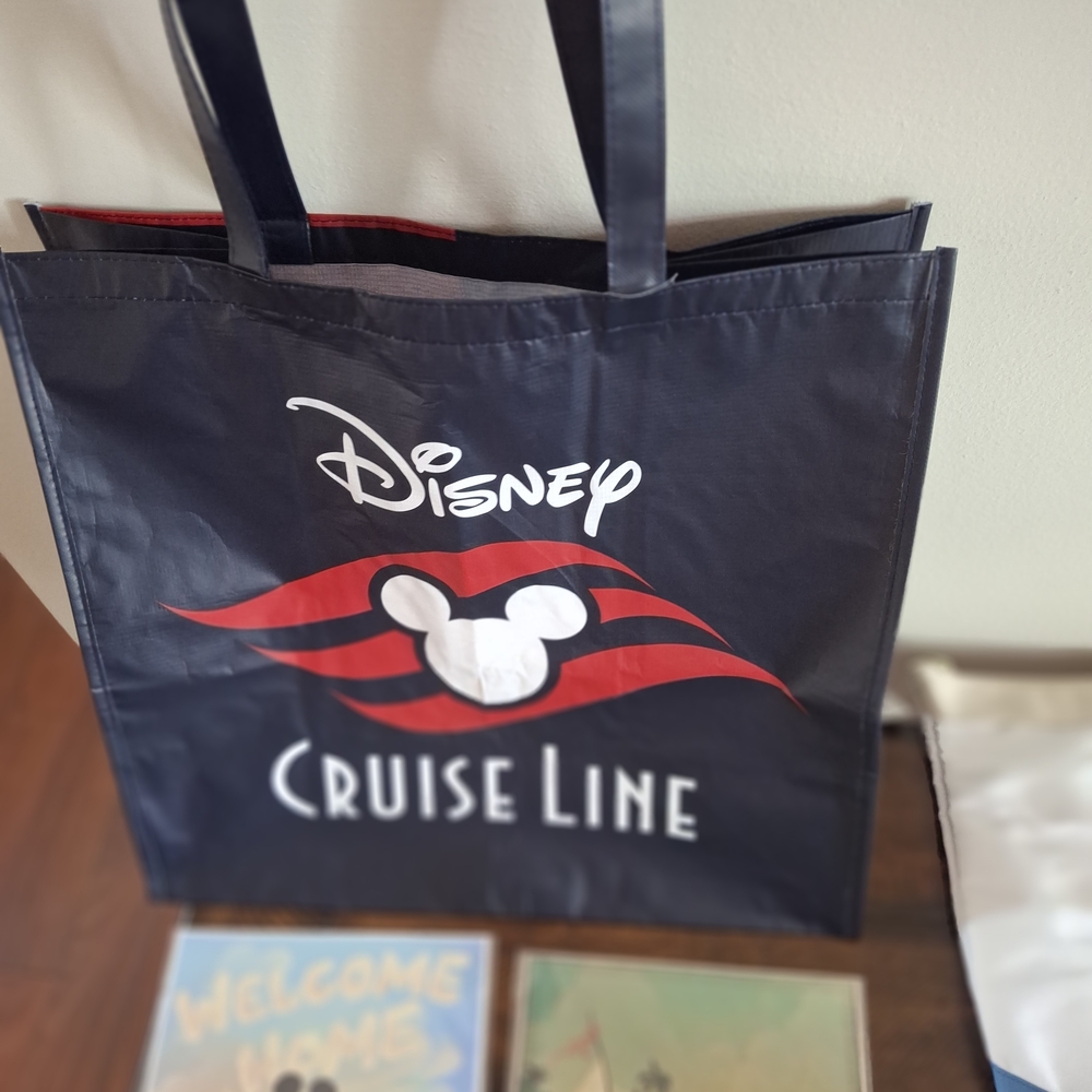 Disney Castaway Club Platinum Gift Set + DVC Items - Picture 2 of 11